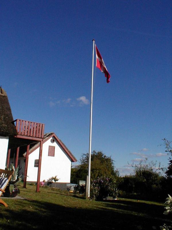 Bulbrovejs Bed & Breakfast Havdrup Dış mekan fotoğraf