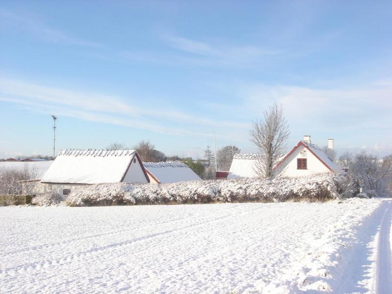 Bulbrovejs Bed & Breakfast Havdrup Dış mekan fotoğraf