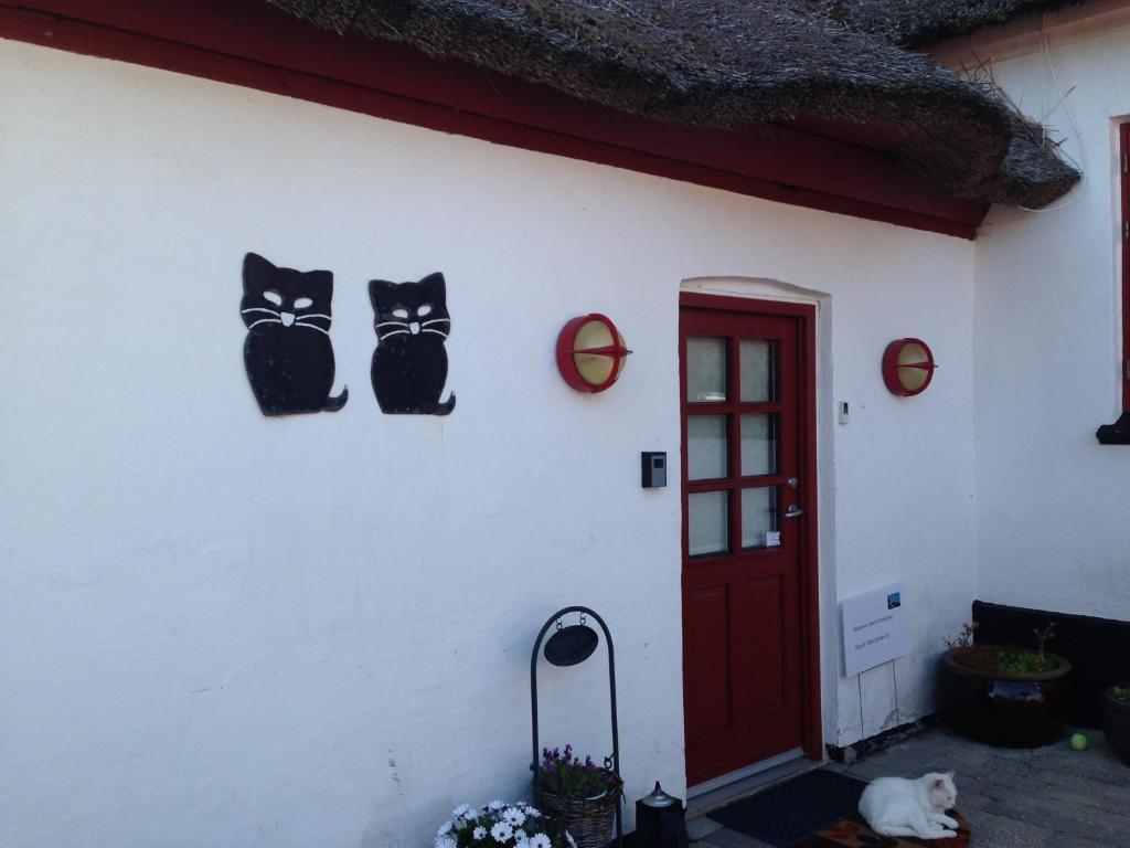 Bulbrovejs Bed & Breakfast Havdrup Dış mekan fotoğraf