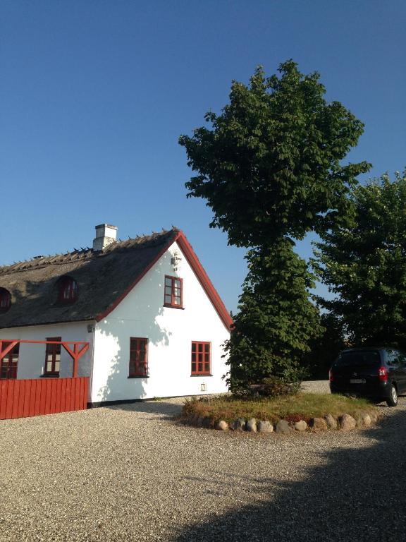Bulbrovejs Bed & Breakfast Havdrup Dış mekan fotoğraf