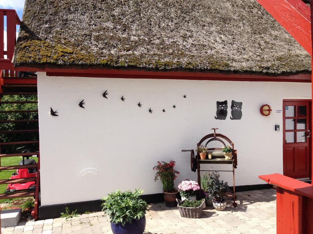 Bulbrovejs Bed & Breakfast Havdrup Dış mekan fotoğraf